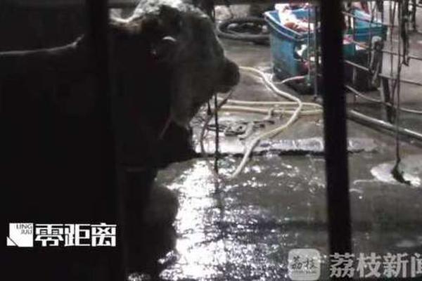 千爵史诗敬我自己成就怎么做