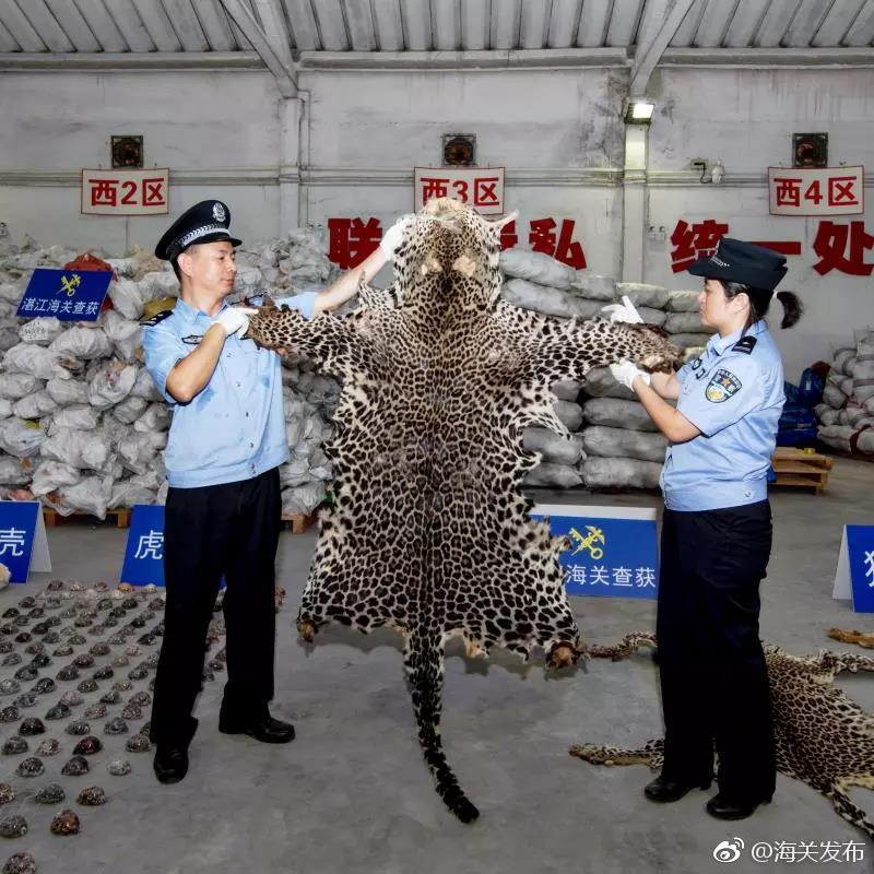 原神丘丘梦工坊奇怪的产物有哪些