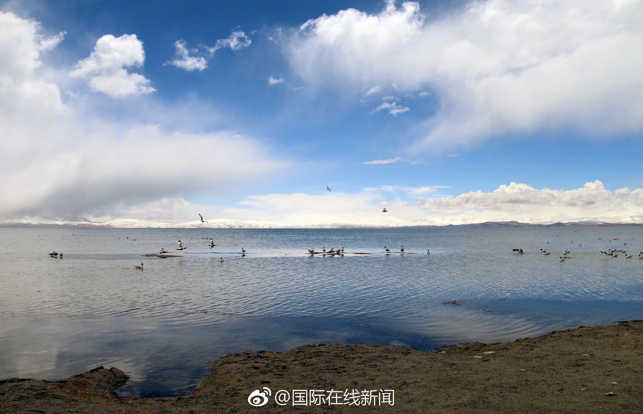 命运2330周年都有什么内容