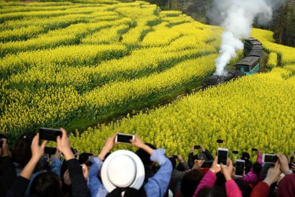 大江湖之苍龙与白鸟崆峒心法属性怎么样